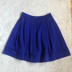 Blue Pleated Skirt